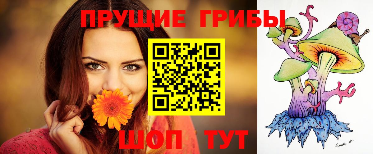 Псилоцибиновые грибы ЛСД  Псилоцибиновые грибы Cubensis  Кропоткин  Вход с VPN 